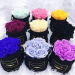 Ý nghĩa các loại hoa hồng - nên tặng hoa hồng màu nào? 14 Ý nghĩa các loại hoa hồng - nên tặng hoa hồng màu nào?