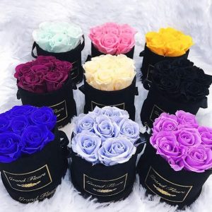 Ý nghĩa các loại hoa hồng - nên tặng hoa hồng màu nào?